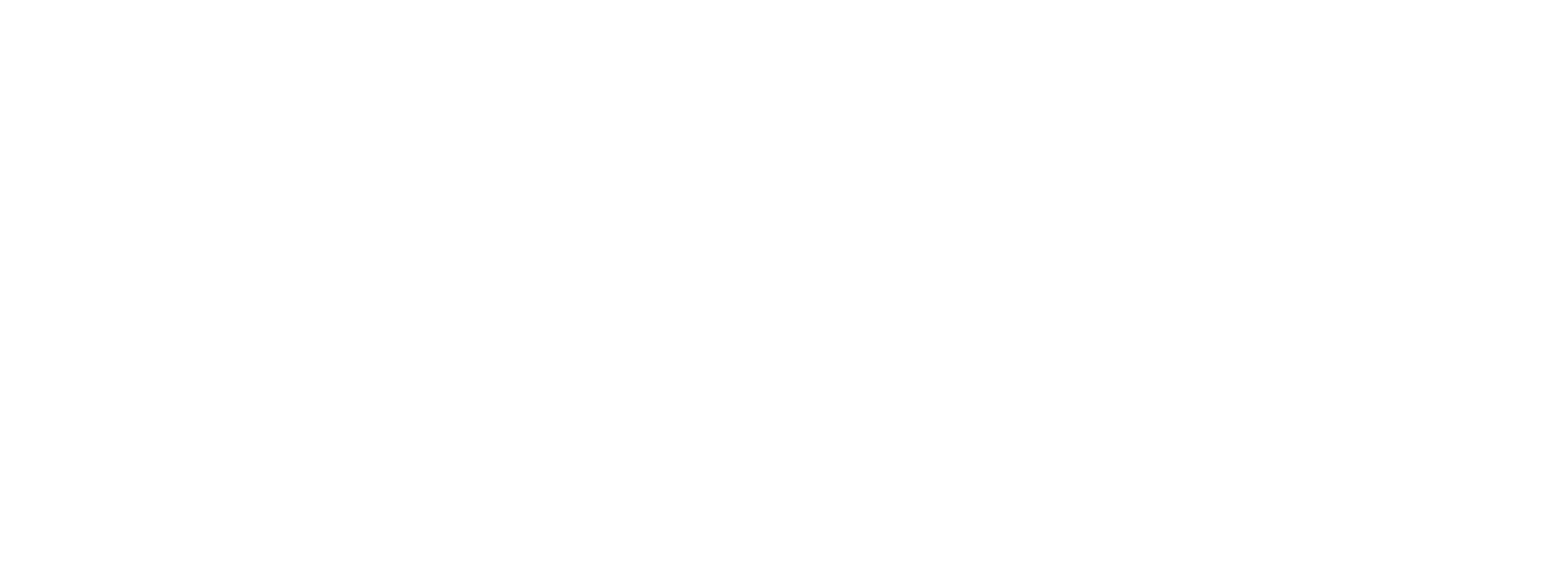 Bonifon Future School